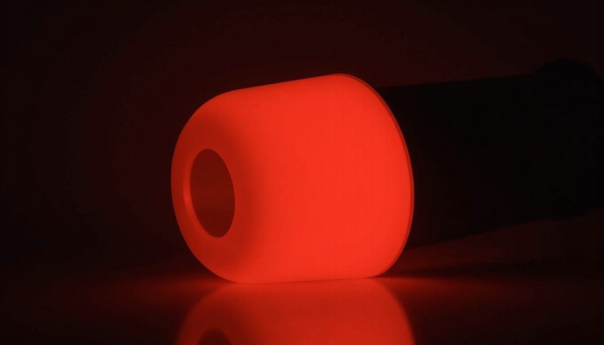 Lampe infrarouge pour animaux : applications, avantages et conseils de sécurité